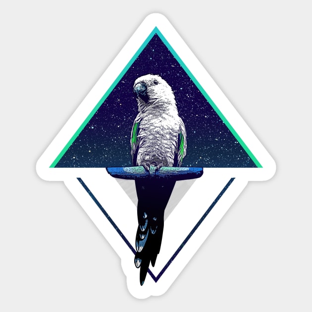 Modern Design Space Sun Conure Sticker by BirdNerd